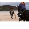 Alforjas Ortlieb Horse-Trekking para Caballo 2 bolsas de 30L Negro